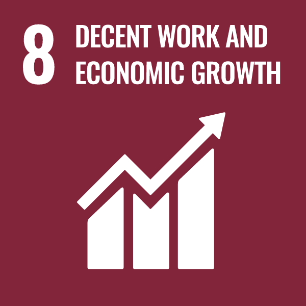 sdg 8 - novomotec